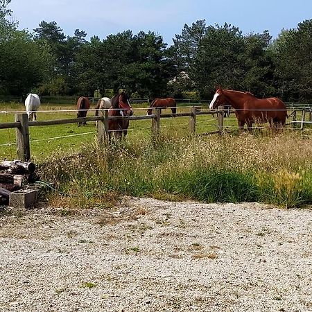 Le Gite De La Ferme ปอร์ไบ ภายนอก รูปภาพ